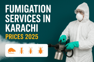 Fumigation Services in Karachi Prices 2025 – Pest Control Professional with Equipment